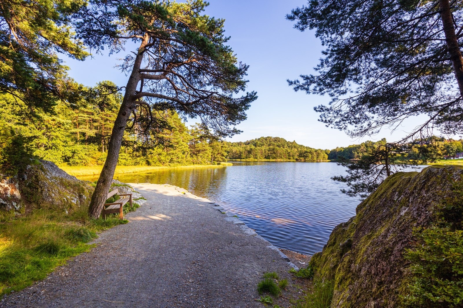 Nærområde, her nydelige turområder langs Skranevatnet som er kun få minutter unna. Galleribilde