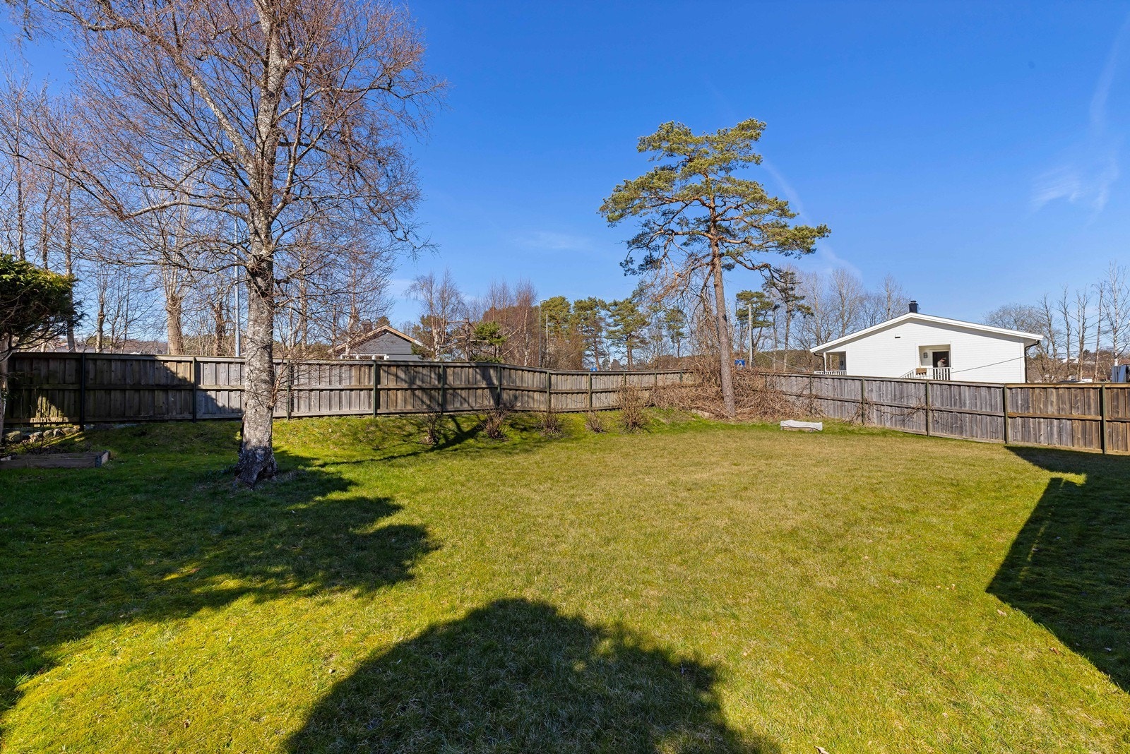 Stor hage som er inngjerdet Galleribilde