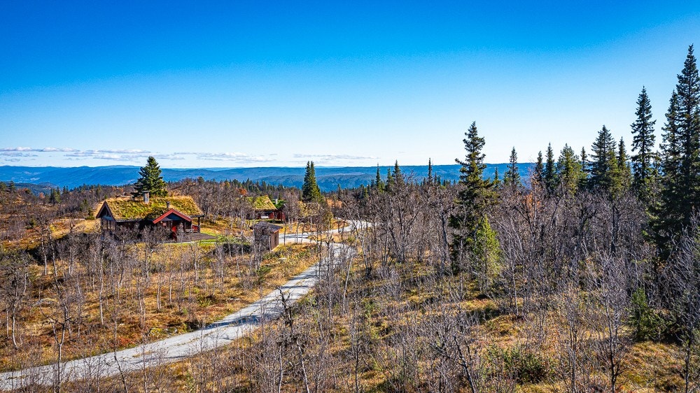 Tomt/område høsten 2024 Galleribilde