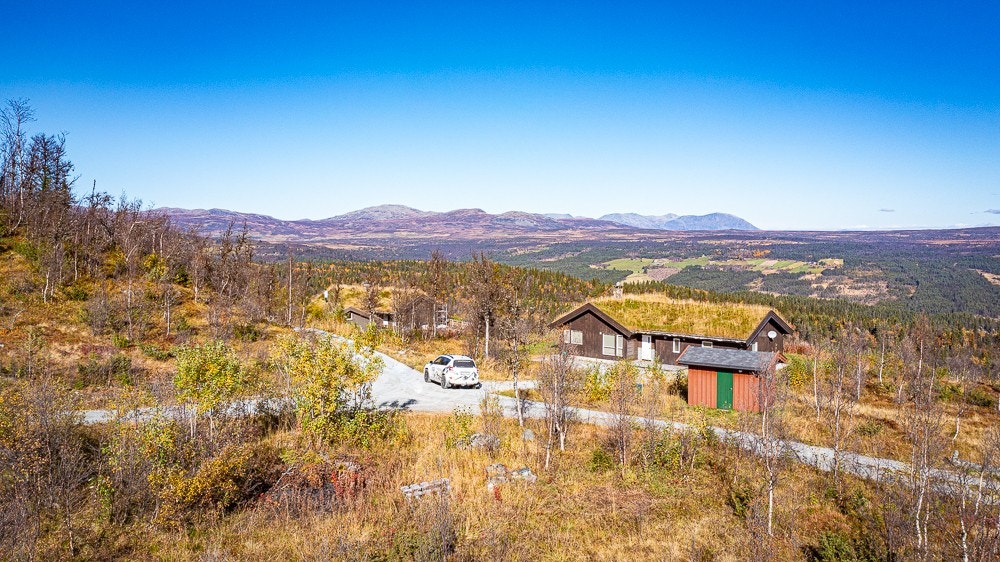 Tomt/område høsten 2024 Galleribilde