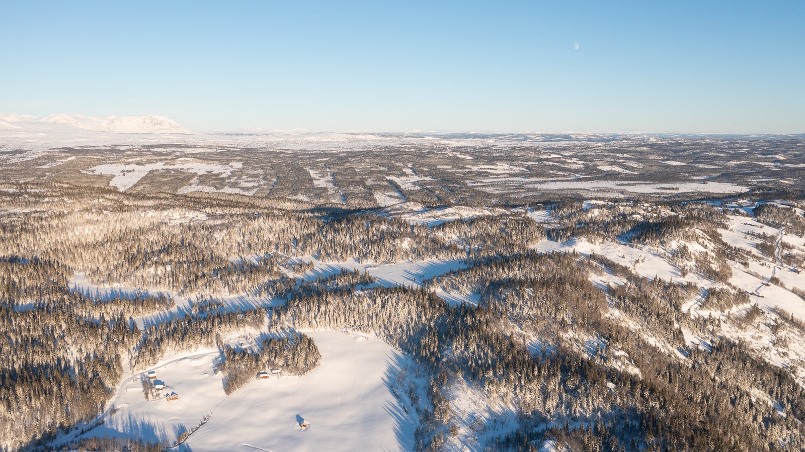 Området, januar 2025 Galleribilde