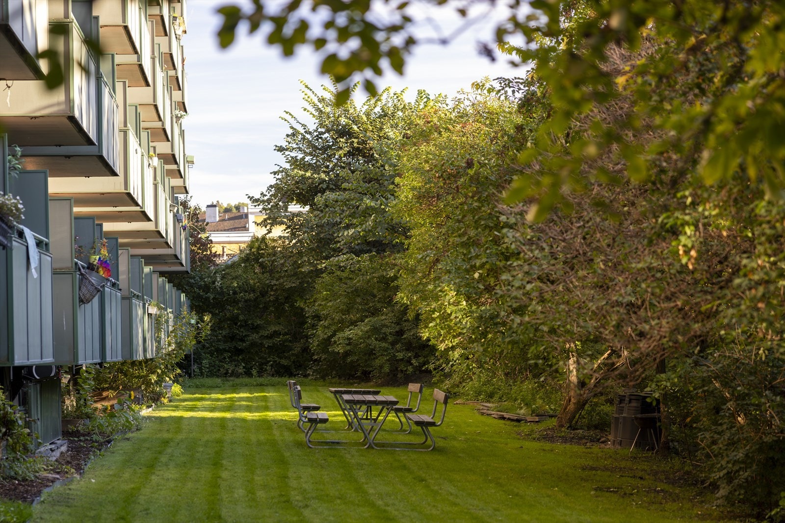 Superkoselig bakgård med flotte grøntområder og hyggelige sitteplasser. Galleribilde