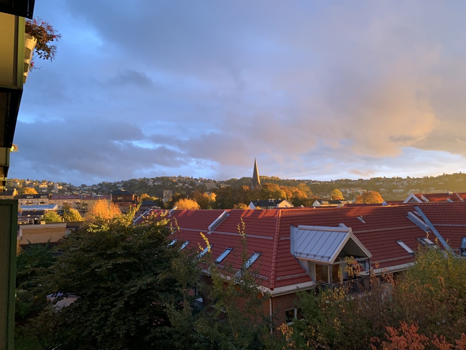 Utsikt om sommeren. Bilde tatt av selger. Galleribilde