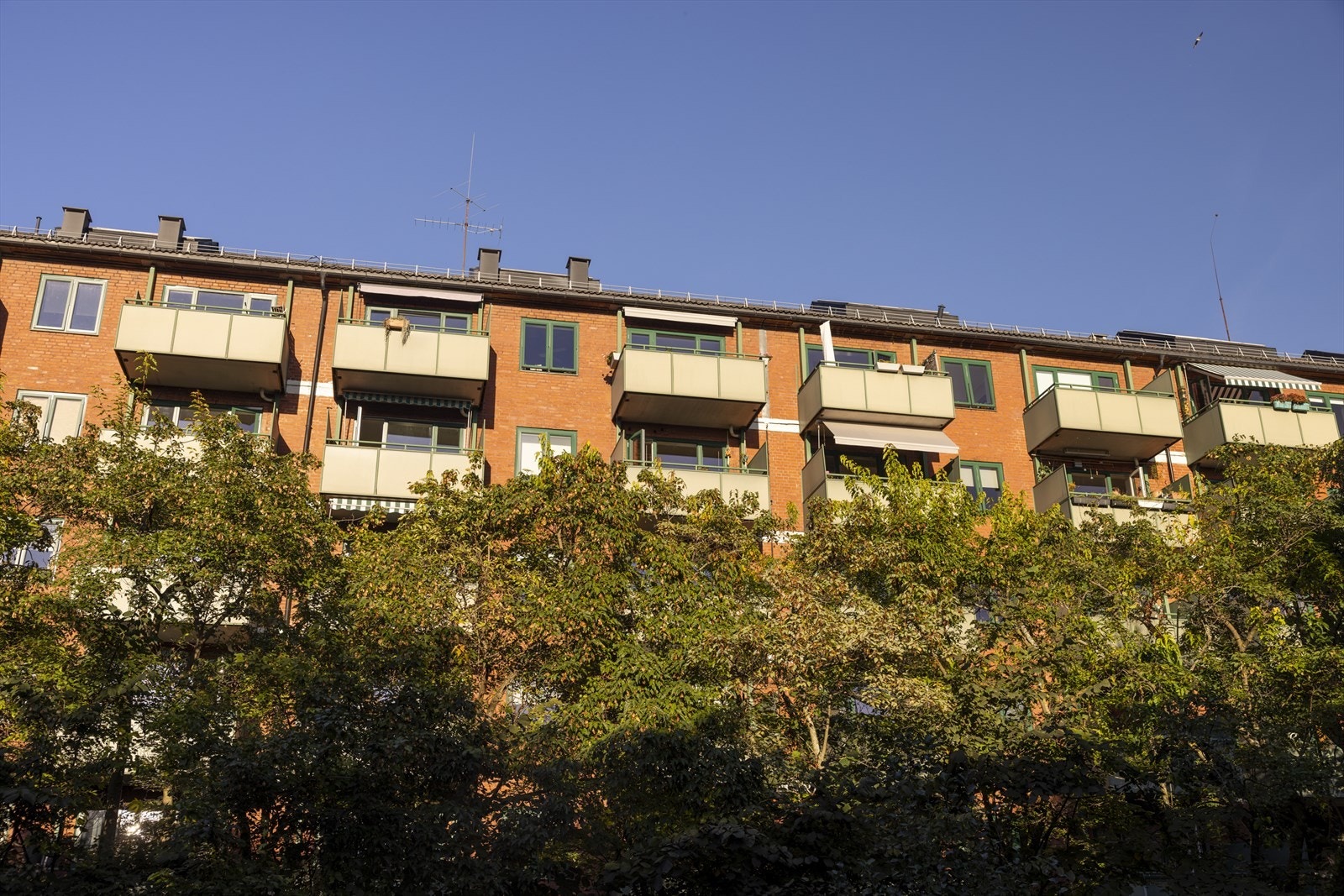 God intern beliggenhet i byggets 4.etasje hvor man ligger skjermet for trafikk og innsyn Galleribilde