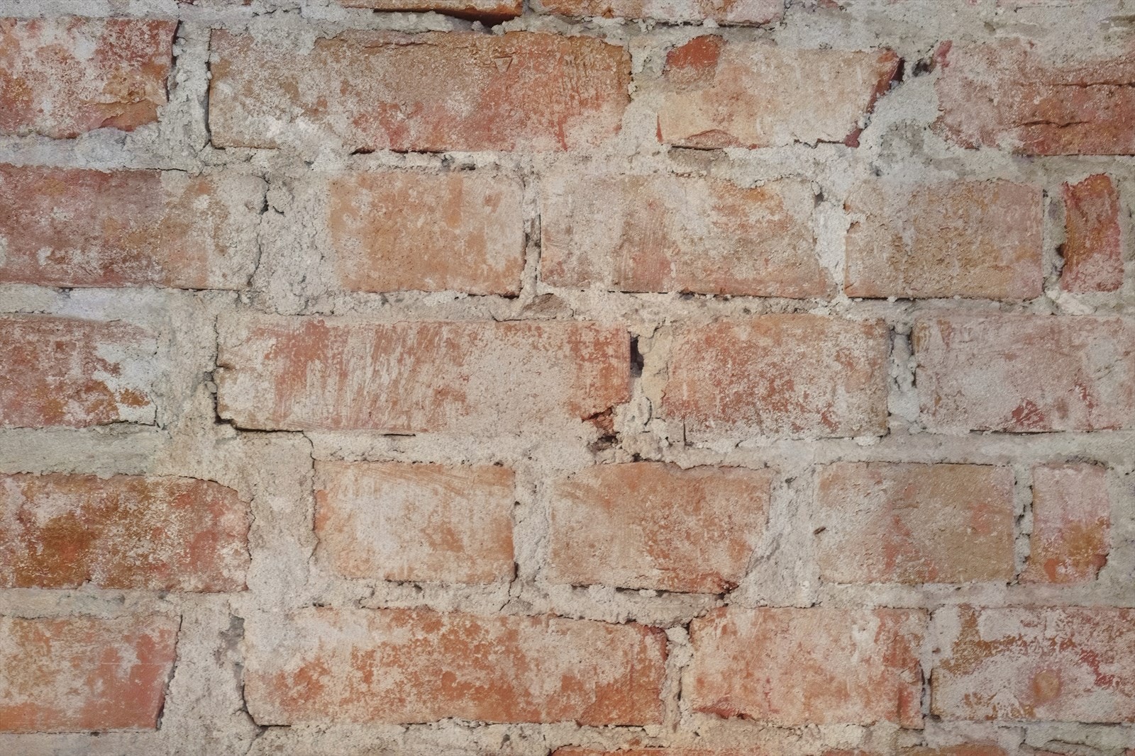 Teglsteinsvegg Galleribilde