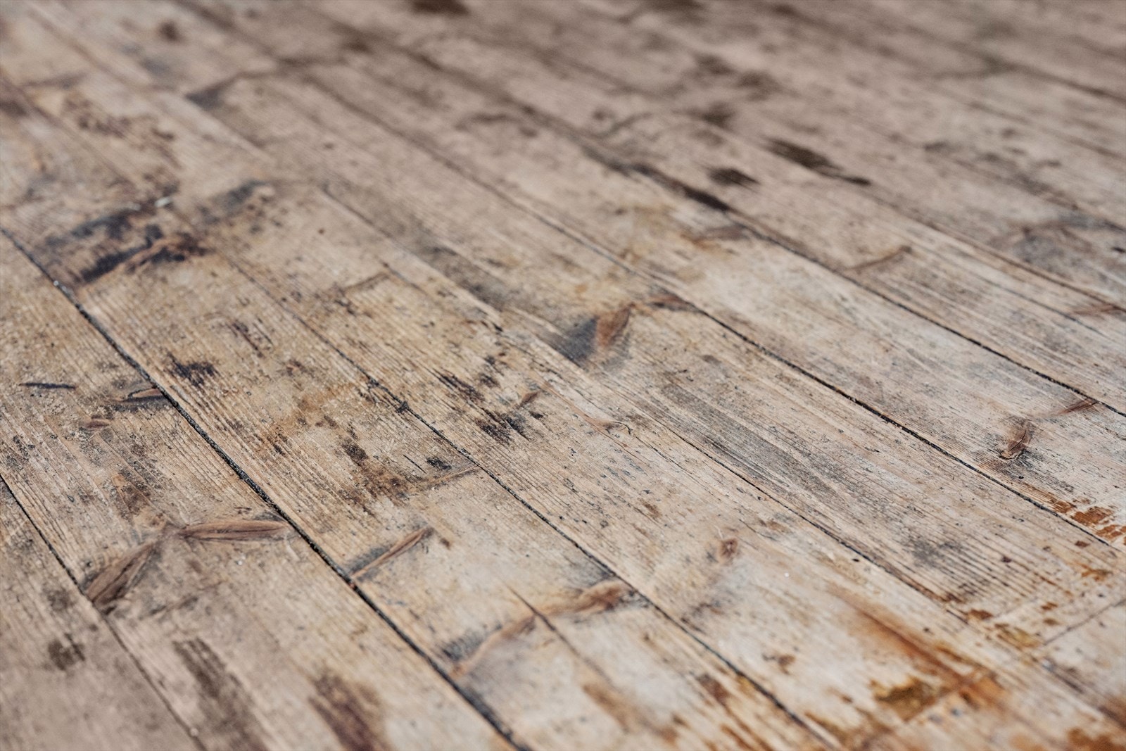 Tregulv. Galleribilde