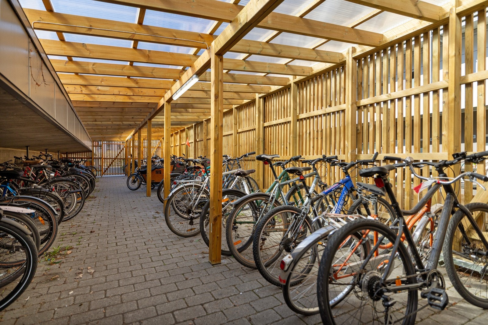 Felles sykkelparkering. Galleribilde