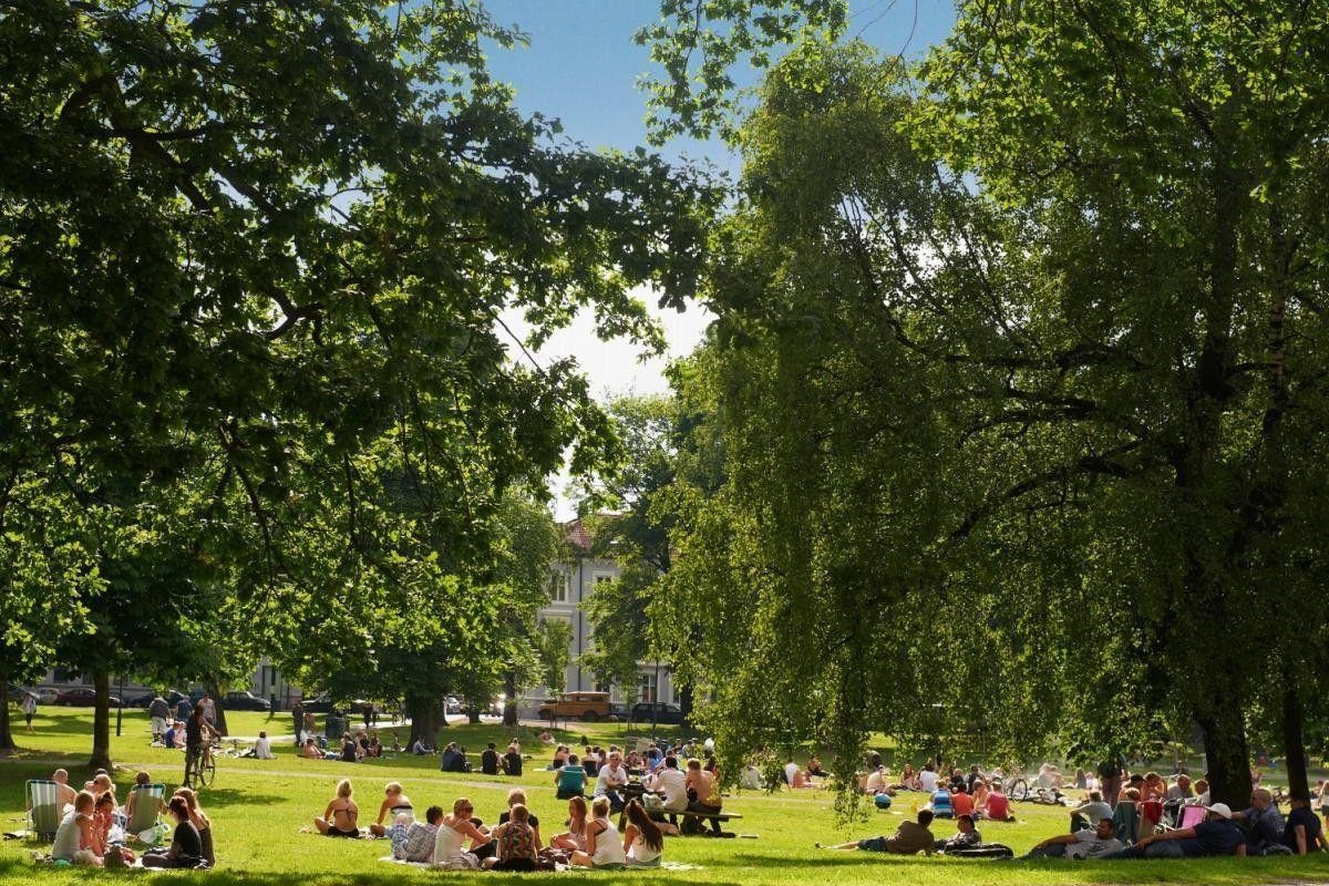 Idylliske Sofienberg park som ligger like ved garasjesameiet Galleribilde