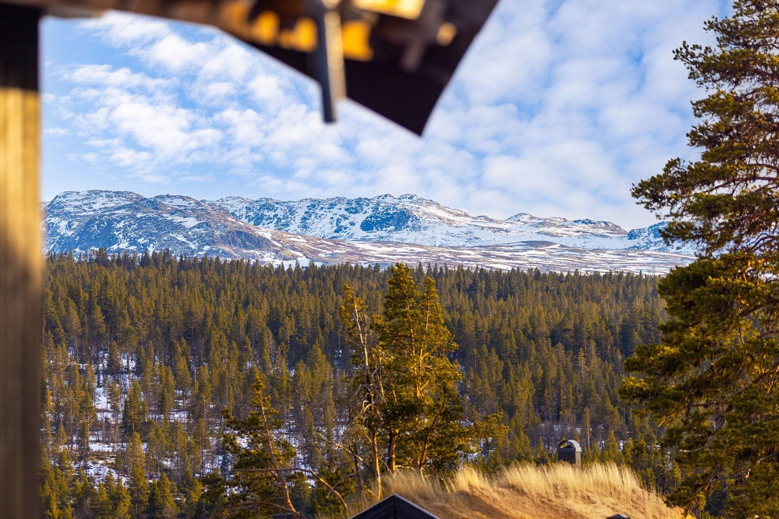 Luftig beliggenghet med hyggelig utsikt mot "Tunhovdalpene" - Skiløypa i umiddelbar nærhet Galleribilde