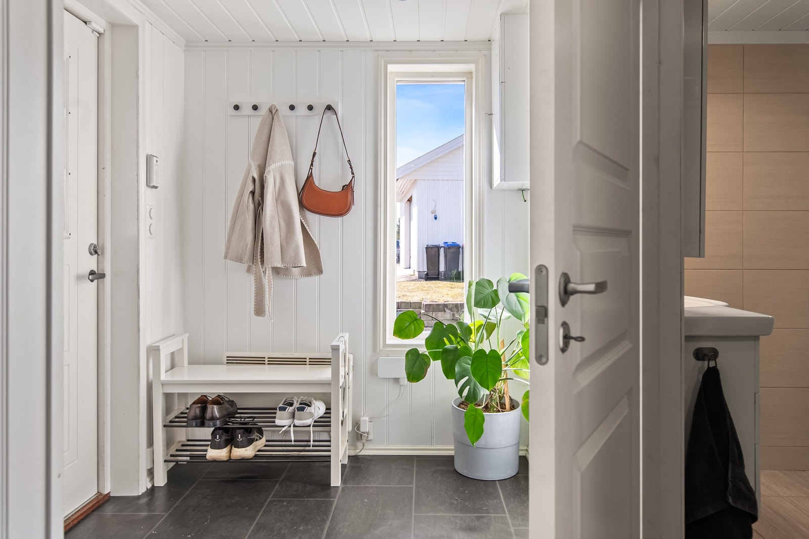 Velkommen til visning Galleribilde