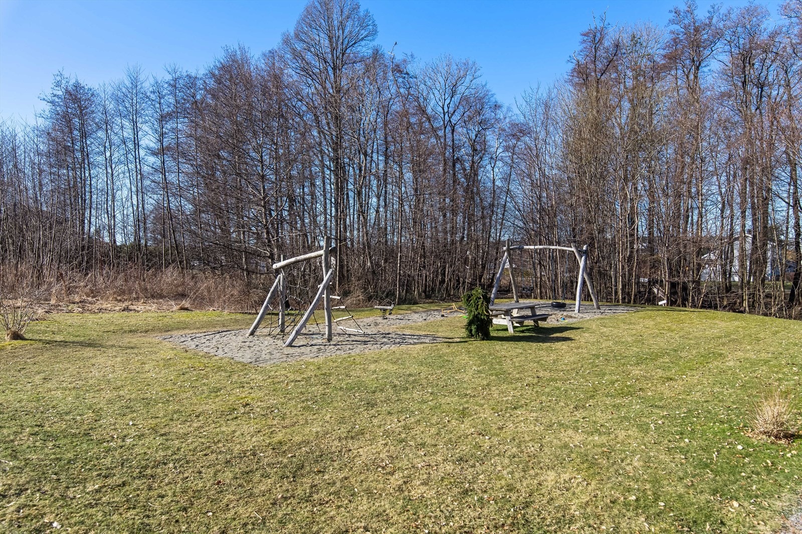 Fellesareal. Galleribilde