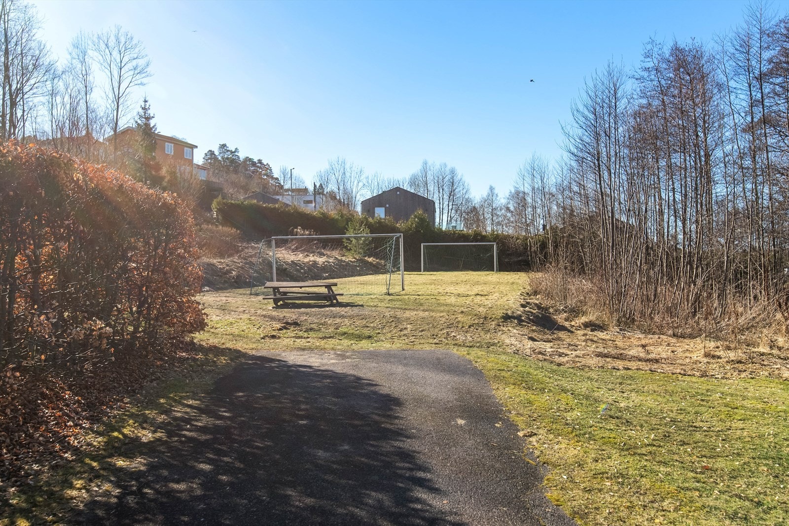 Fellesareal. Galleribilde