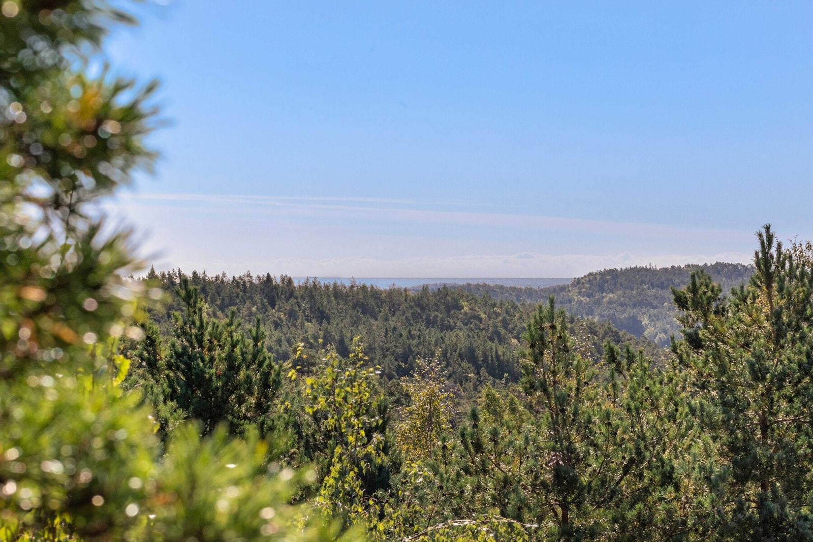 Utsikten med Søgneskjærgården i bakkant. Galleribilde