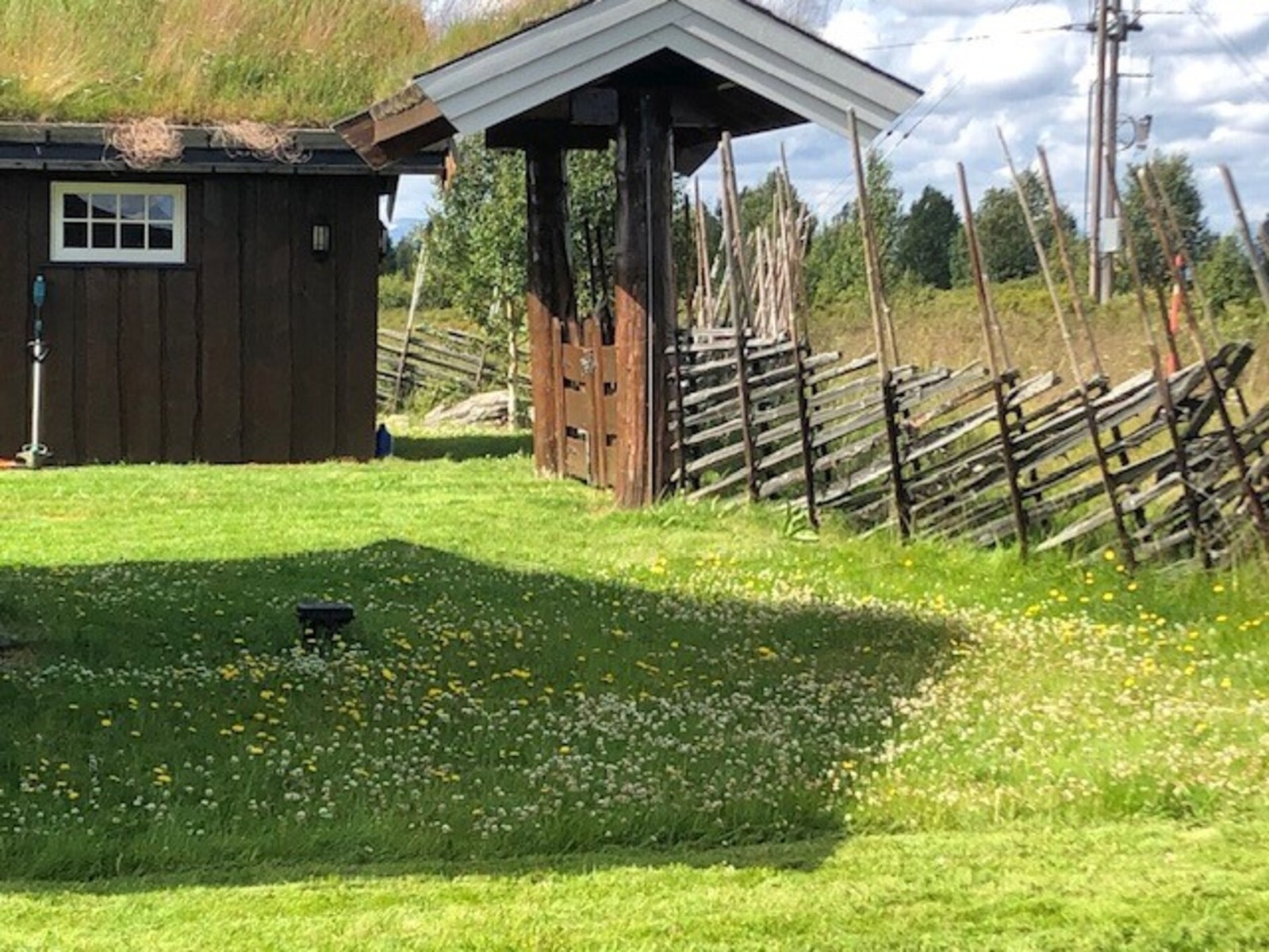 Selgers bilde. Galleribilde