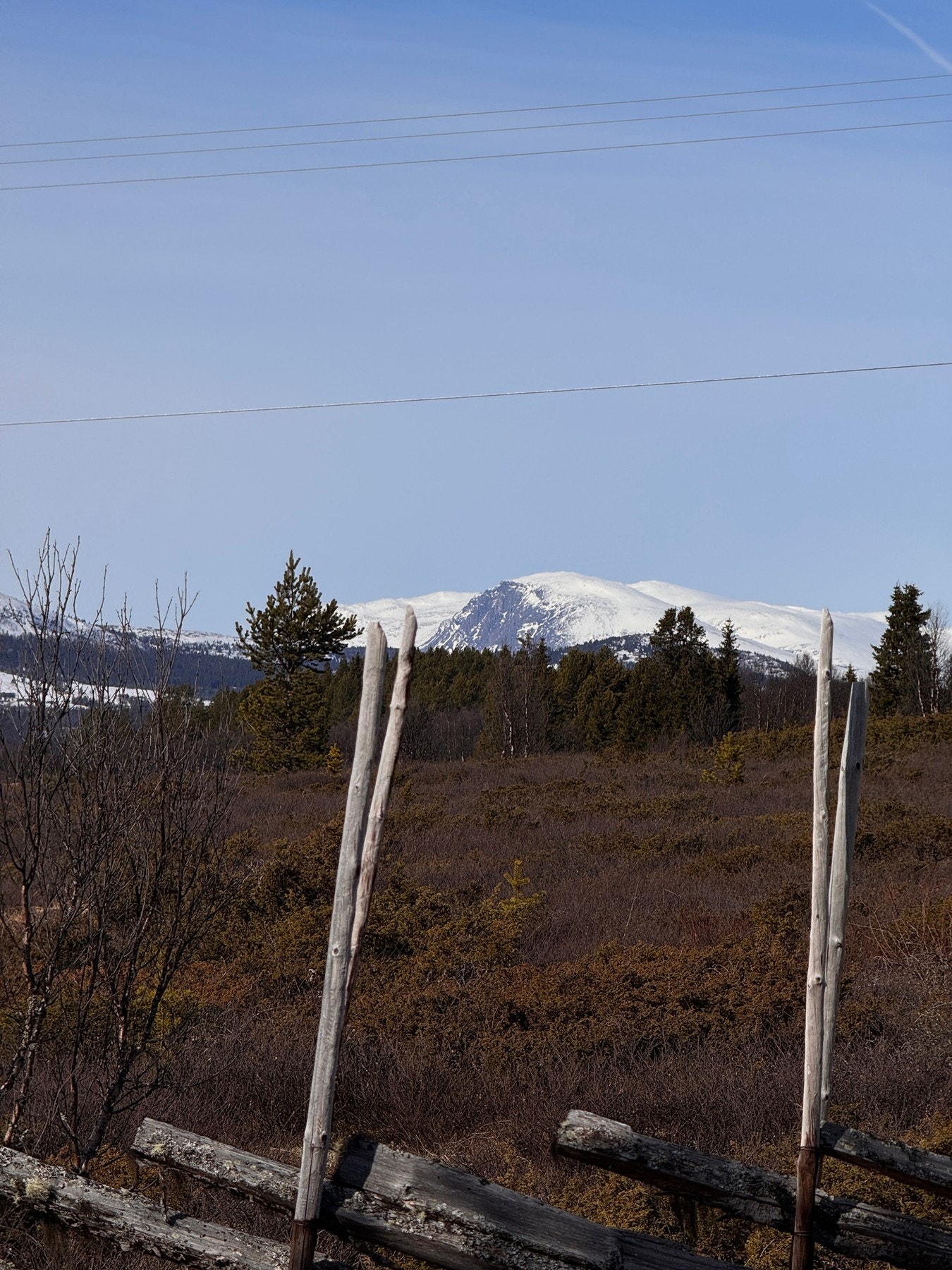 Utsikt mot Skogshorn. Galleribilde