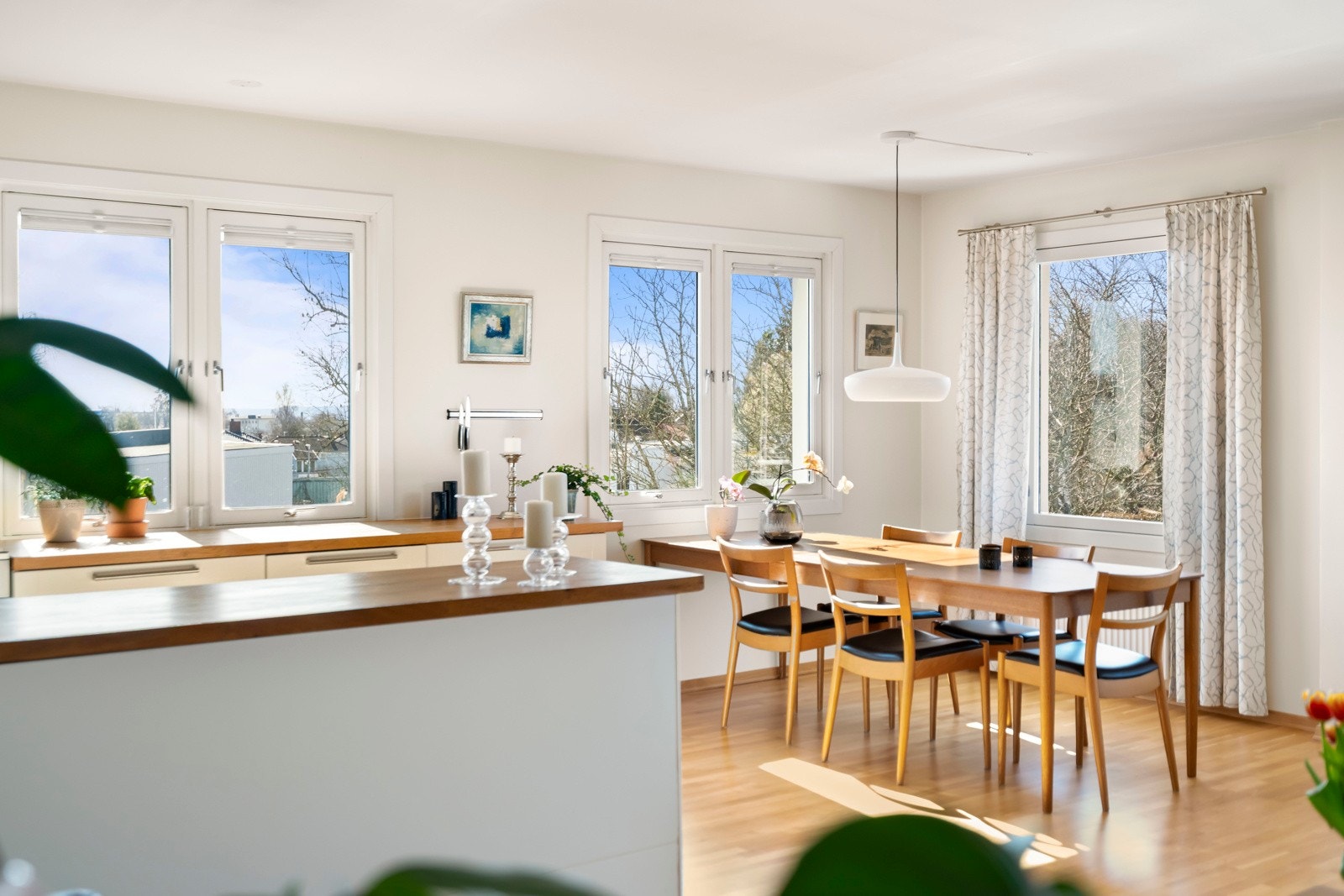 DSC01486 Galleribilde