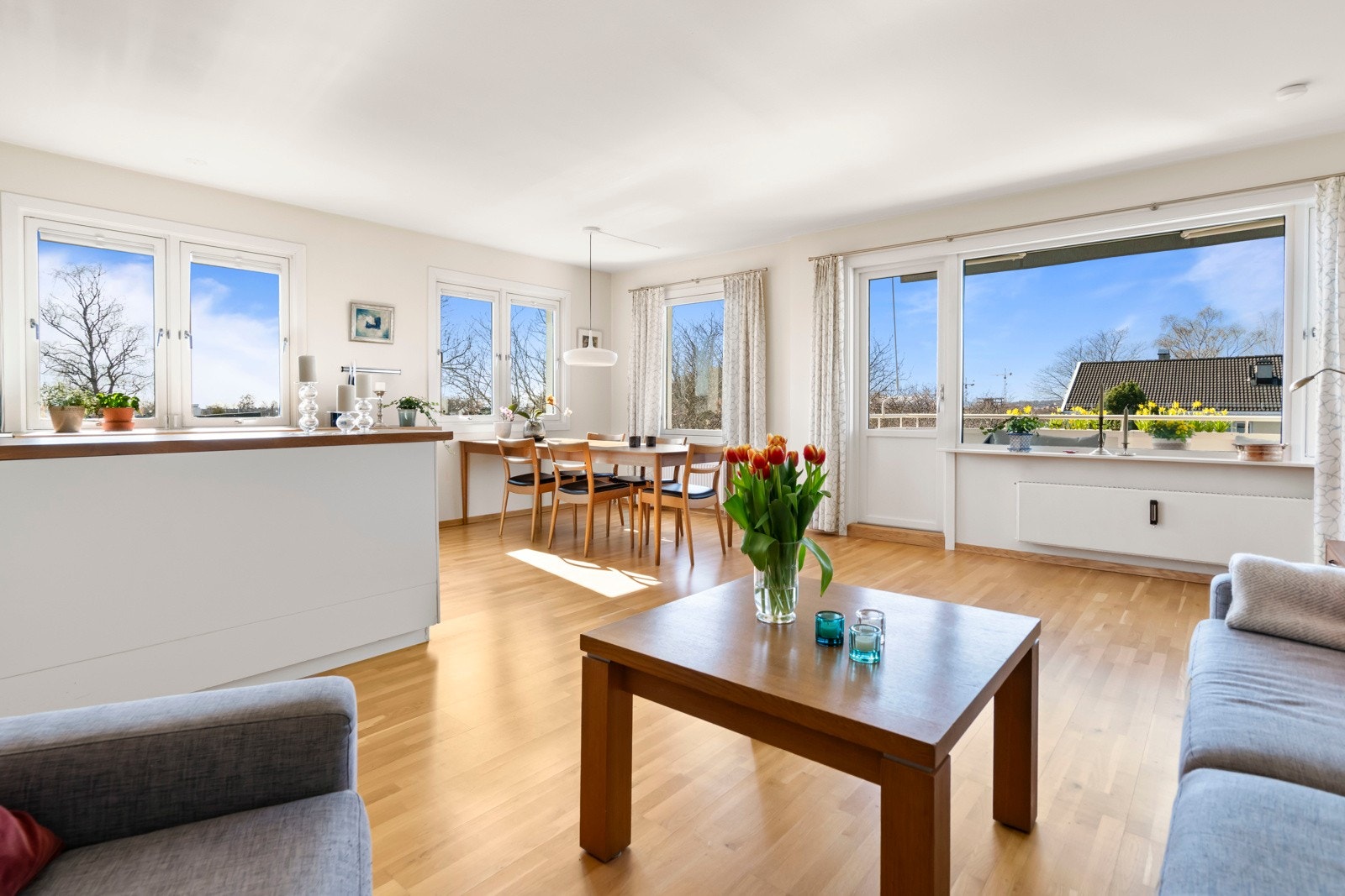 DSC01546 Galleribilde