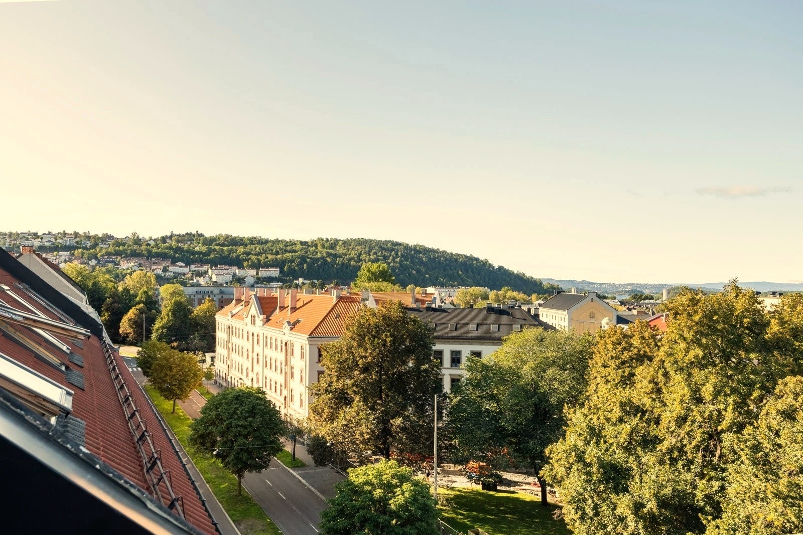 Et grønt og frodig utsyn på sommerstid. Galleribilde
