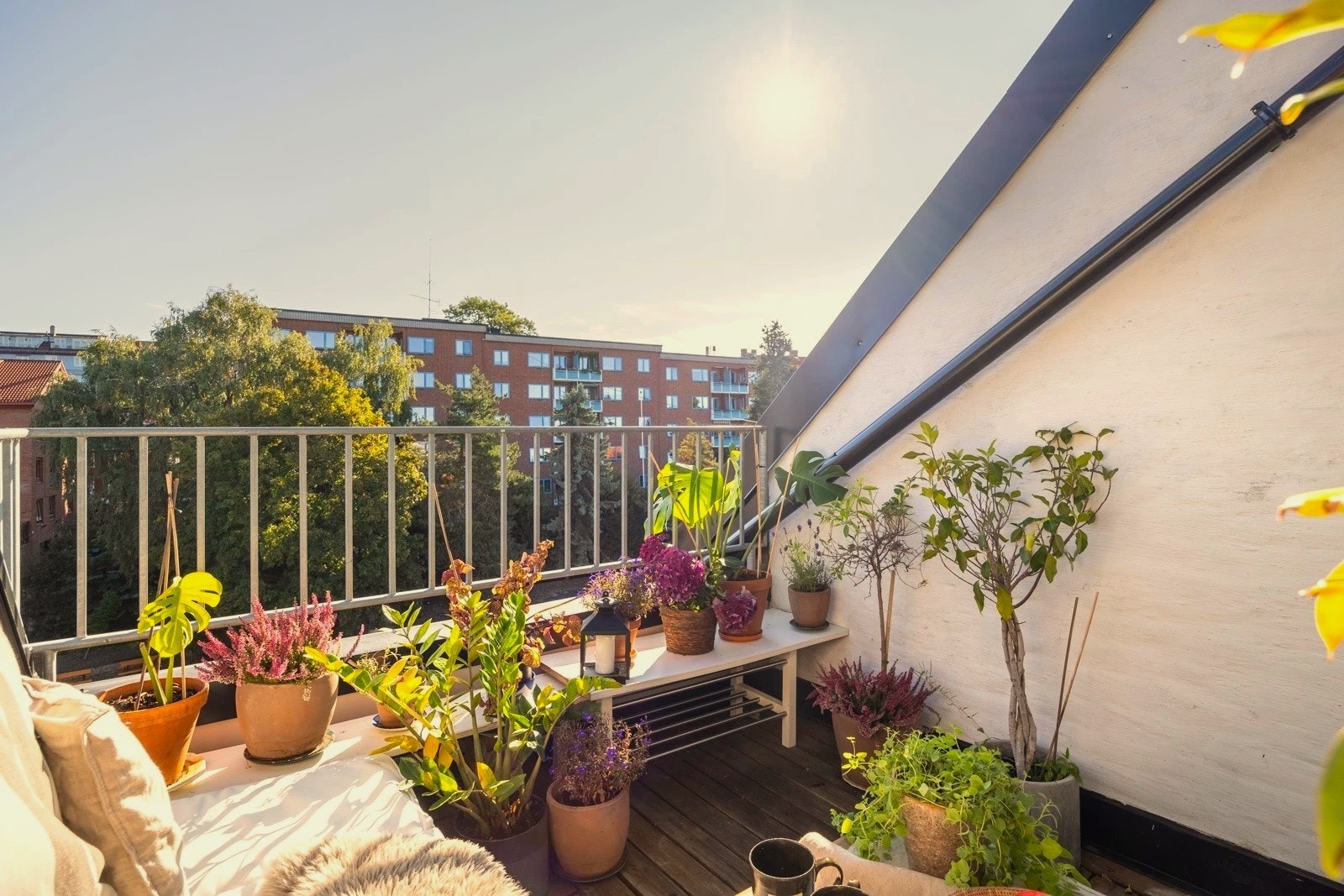 Den private takterrassen byr på et fritt og luftig utsyn samtidig som den oppleves skjermet, og utgjør et lunt og solrikt sted hvor også planter trives. Galleribilde