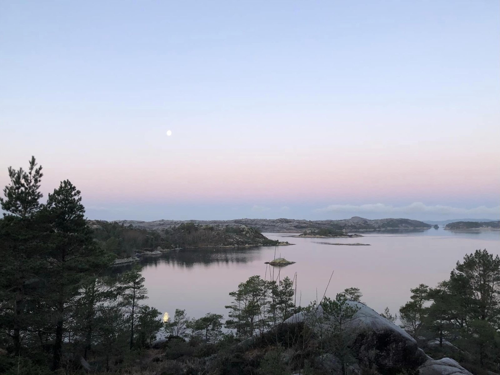 Vintermorgon. Bilete tatt av seljar Galleribilde