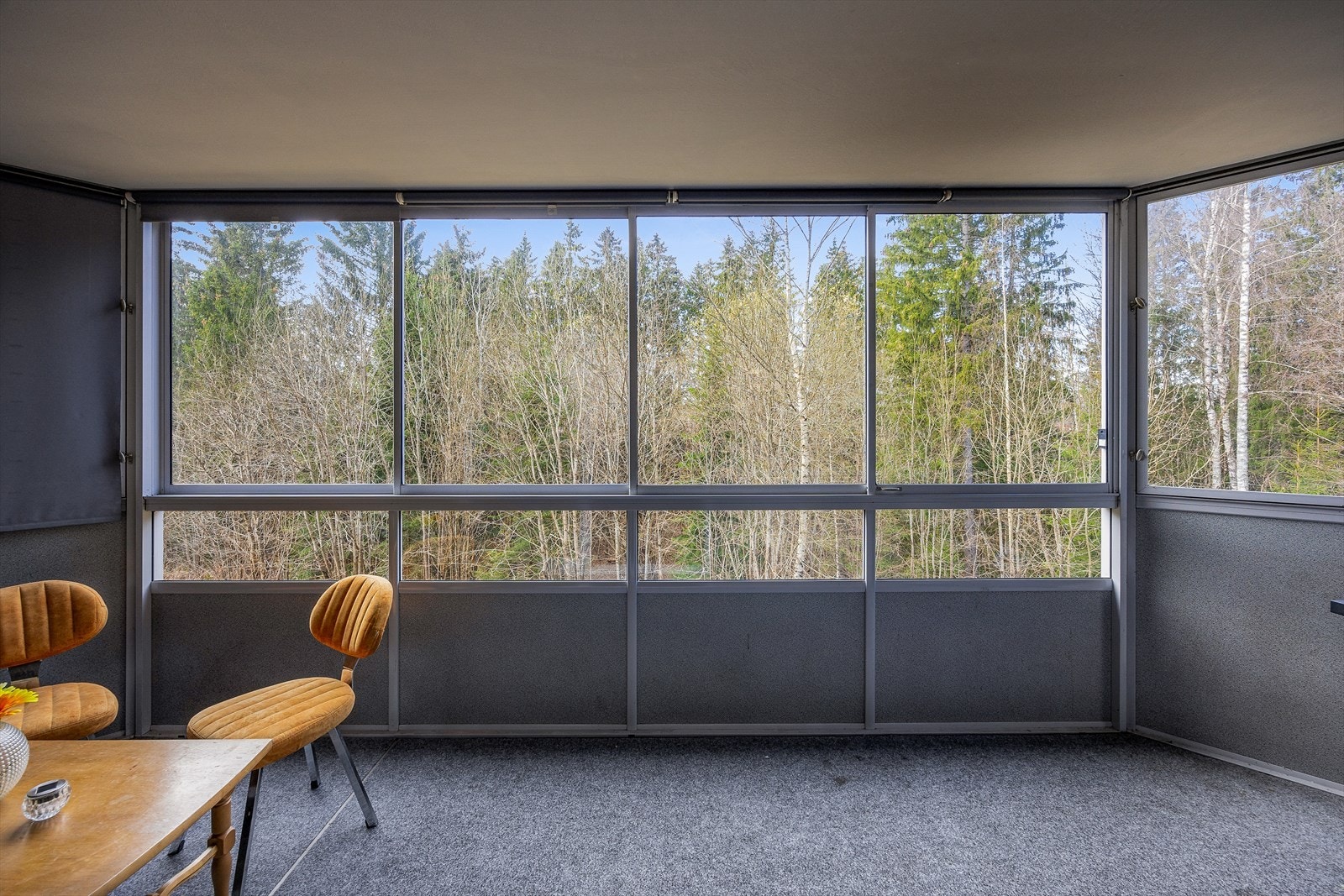 Her kan du følge årstidene og høre fuglene synge! Glasset dras til siden om ønskelig. Galleribilde