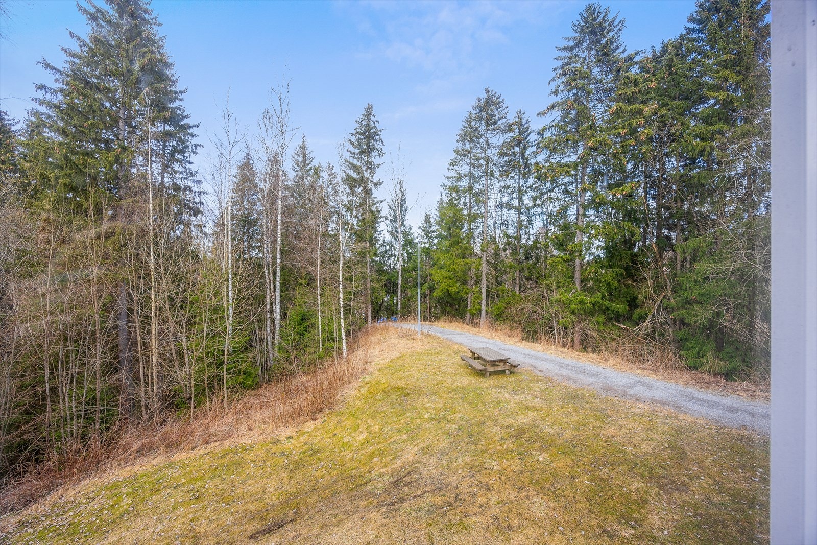 Nærhet til flotte turområder og preparerte lysløyper i skogen. Galleribilde