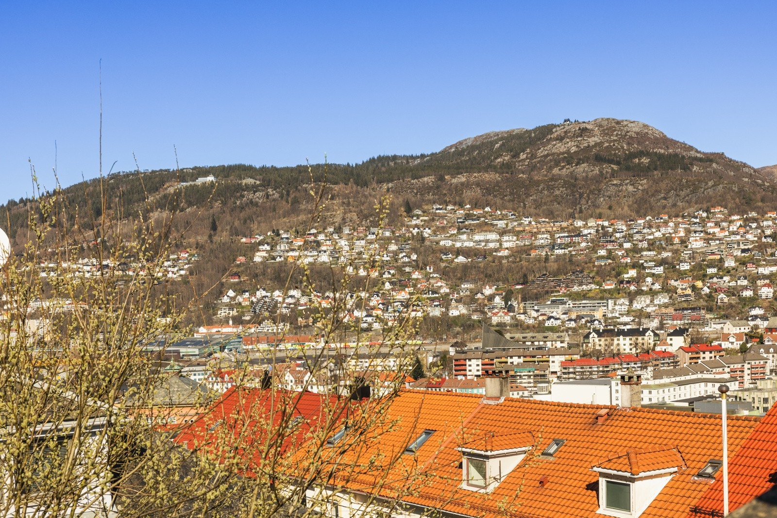Fra balkongen har du utsikt mot Løvstakken og nærområdet, samt over mot Fløyen og Bergen sentrum Galleribilde