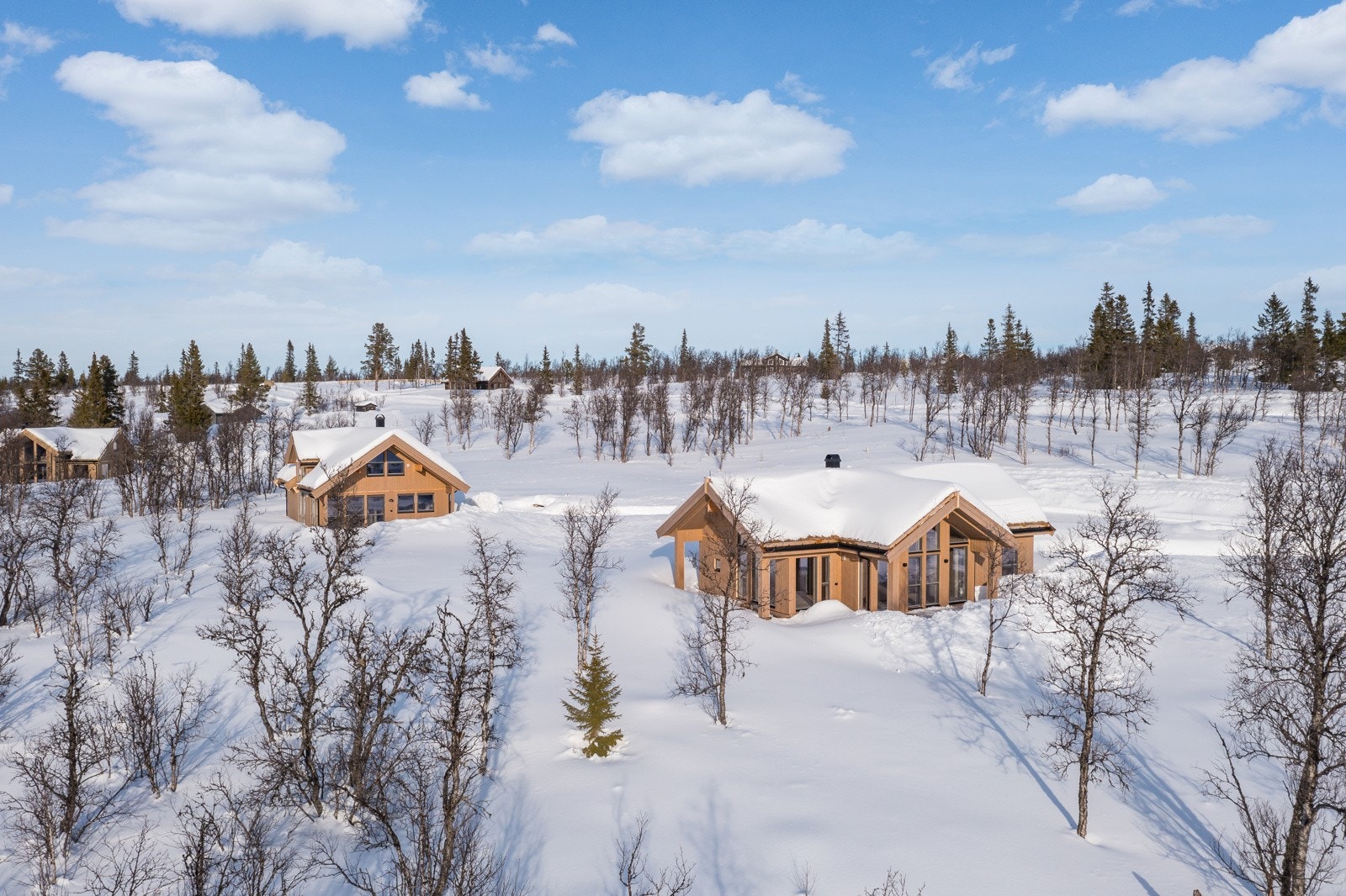 I fremste rekke på en flott tomt Galleribilde