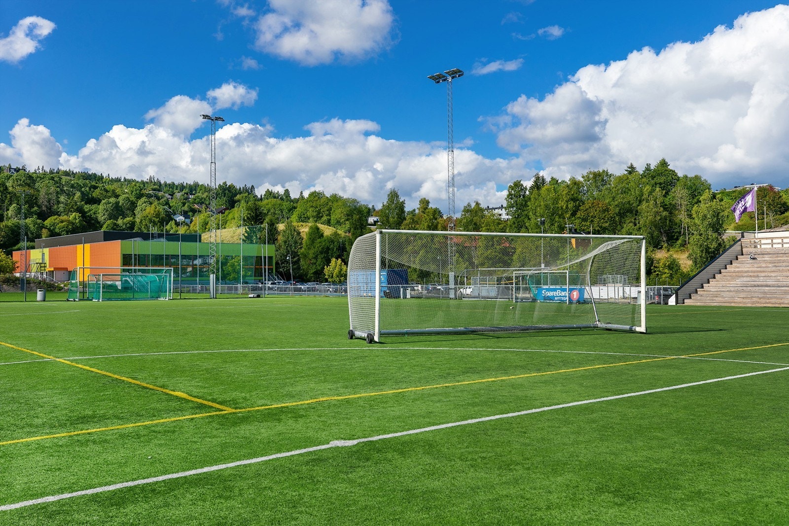 Li kunstgressbaner Galleribilde