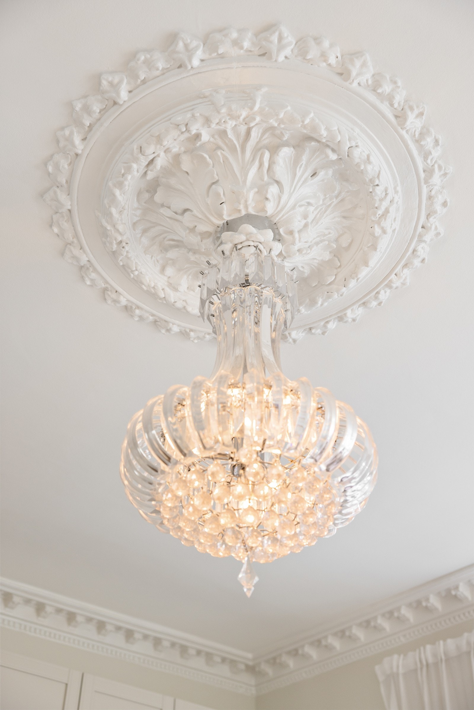 - Nydelig, klassisk rosett - Galleribilde