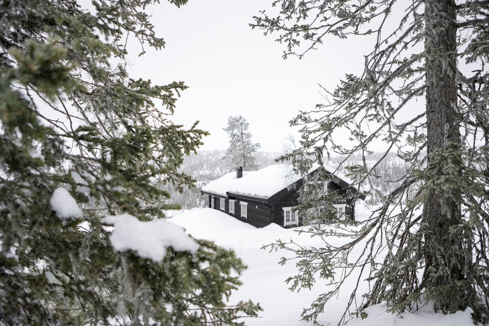 Fra gårdsplassen er det steinsatt gangbane bort til inngangspartiet som er en del av en større terrasse. Galleribilde