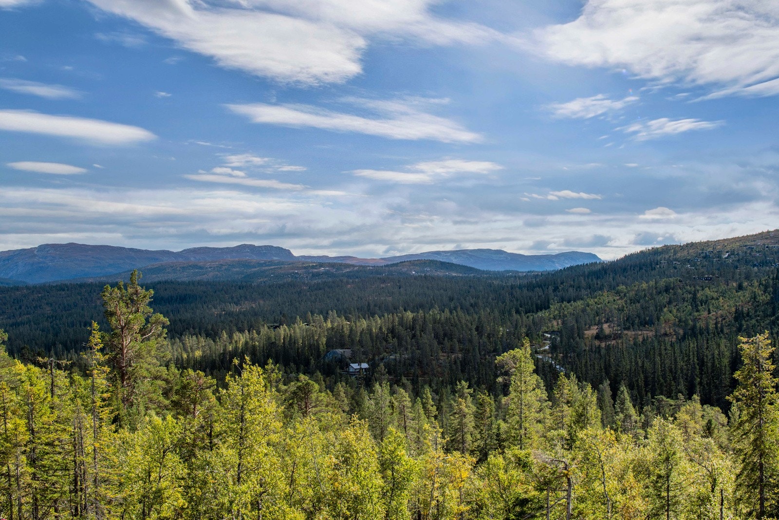 Turen begynner rett utenfor døren, slik at du kan nyte den friske fjelluften til fots, sykkel eller på ski. Galleribilde