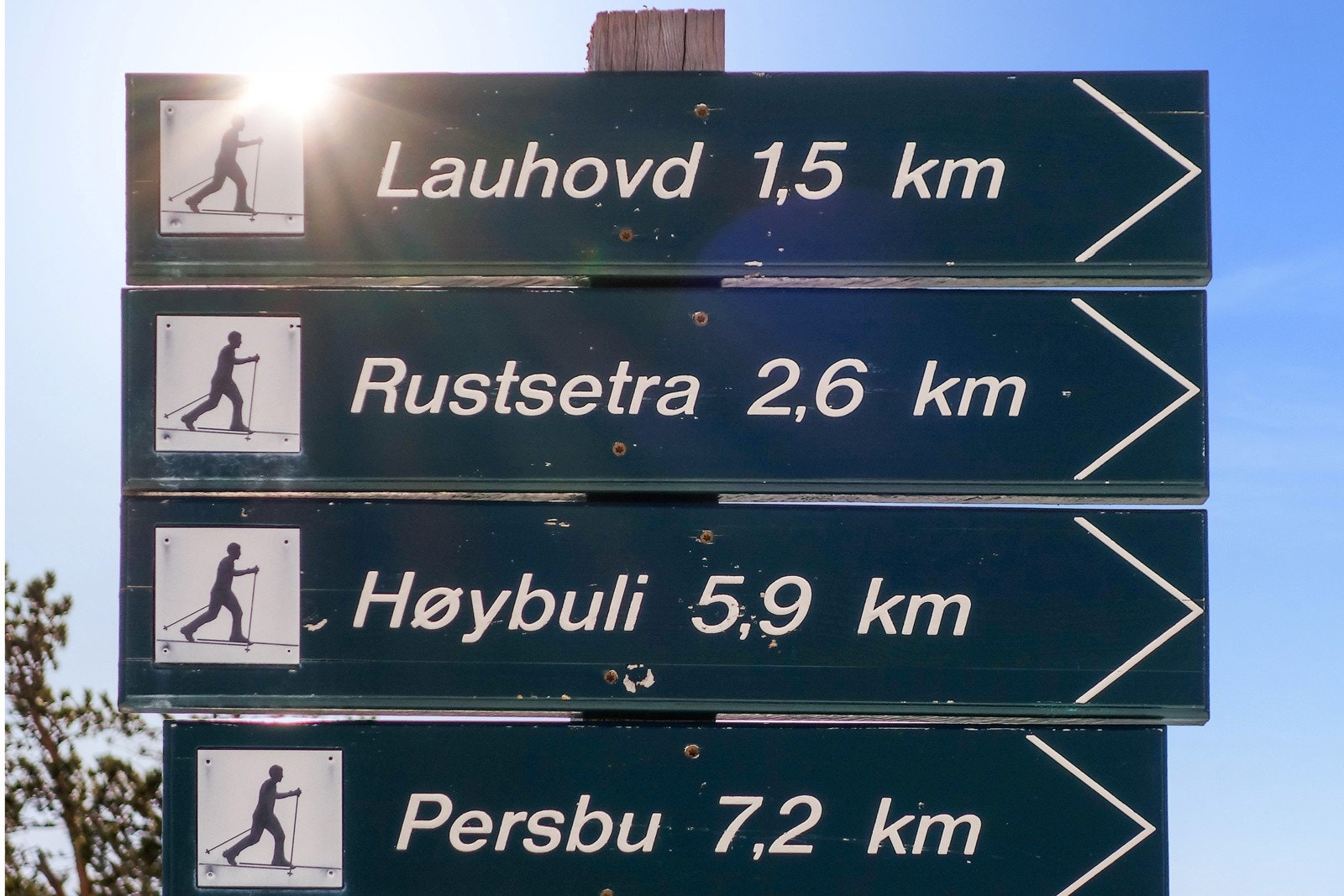 Stort Løypenett Galleribilde