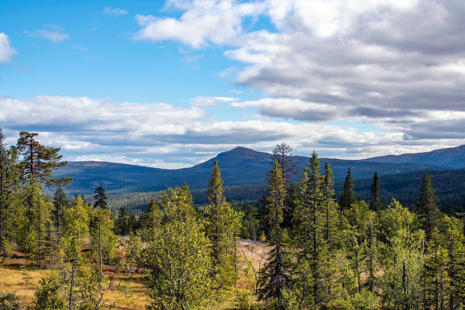 Her er det bare å finne roen til vid utsikt over naturskjønne områder med høye fjelltopper og skogkledde partier. Galleribilde