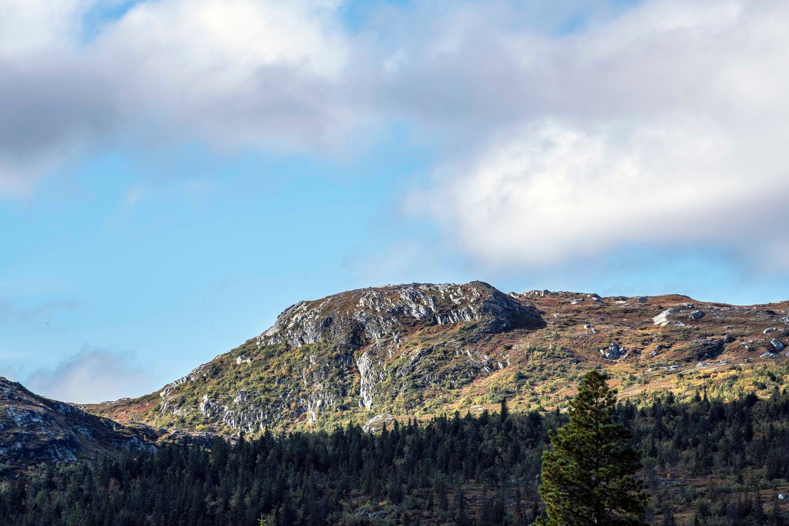 Kun 2,5 timer fra Oslo og Vestfoldbyene finner du den vesle bygda Veggli som villig deler fjellet sitt med deg Galleribilde