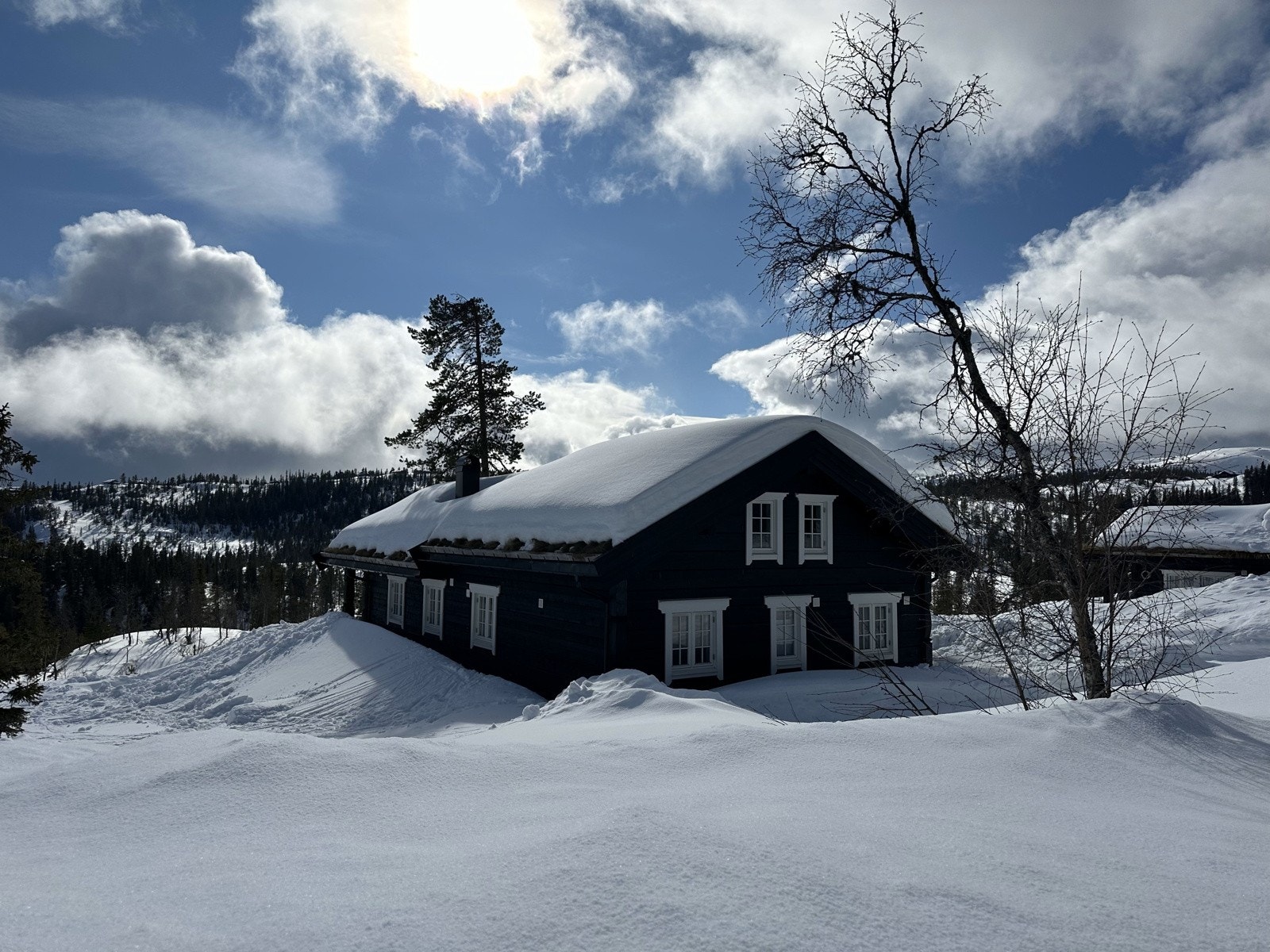 Dette er en lekker familiehytte fra 2021, med høy standard. Galleribilde
