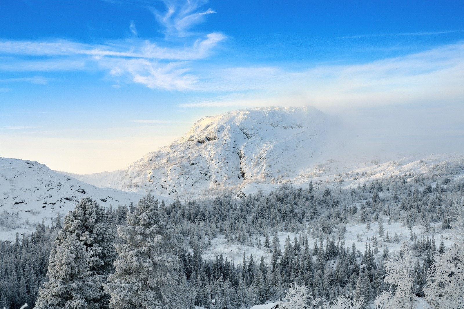 I området bys det på over 8 mil med velpreparerte skiløyper. Galleribilde