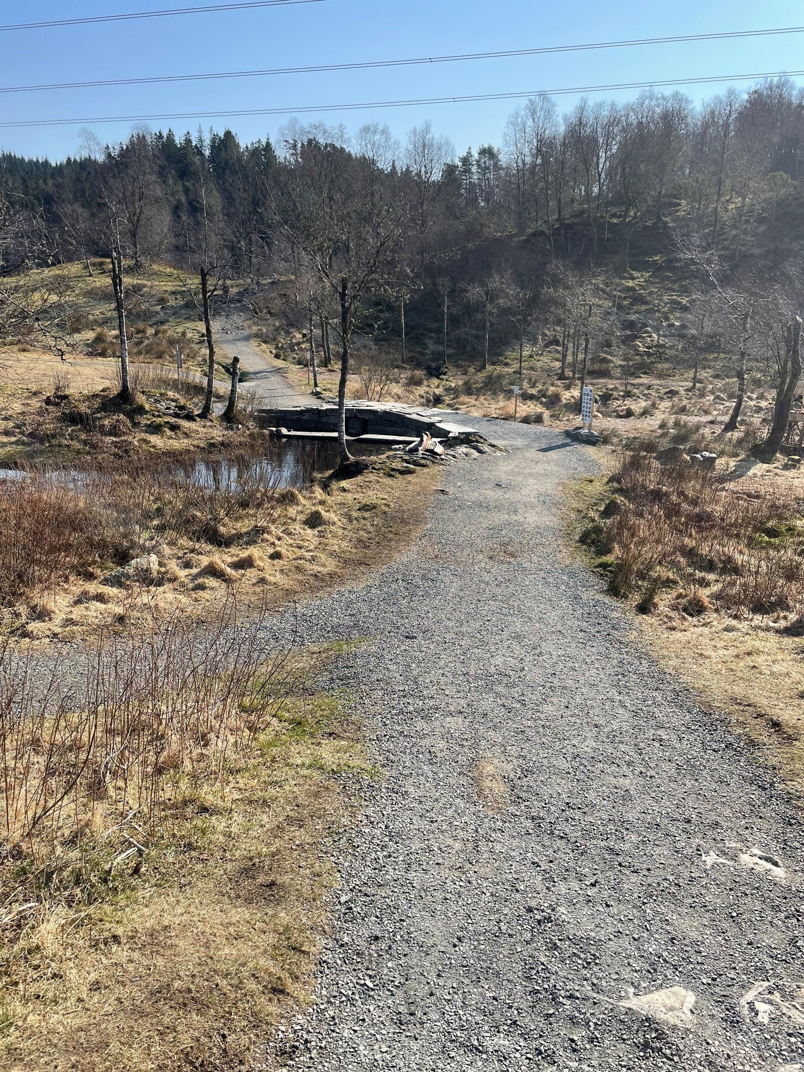 Smøråsfjellet ligger like bak boligen. Galleribilde