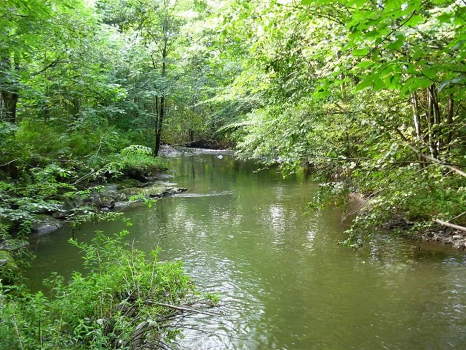 Fantastiske alnaelva i umiddelbar nærhet. Galleribilde