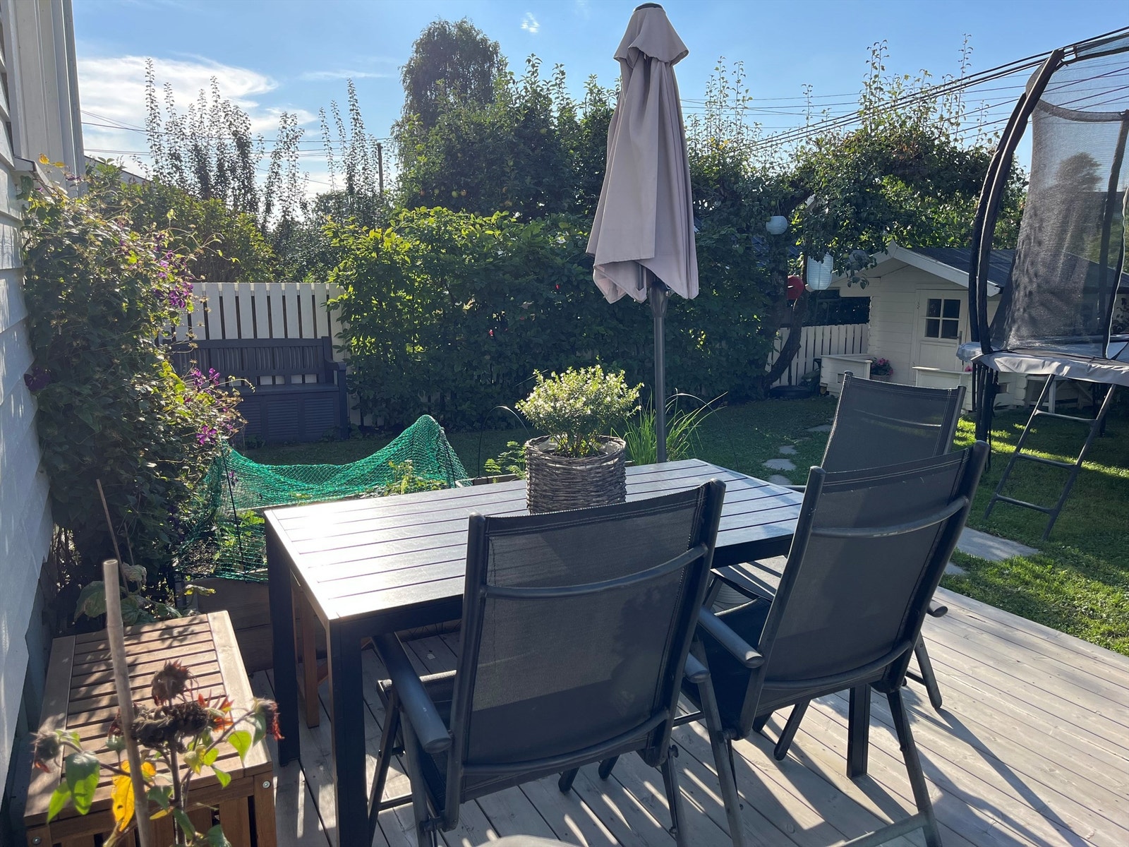 Selgers bilde midtsommers Galleribilde