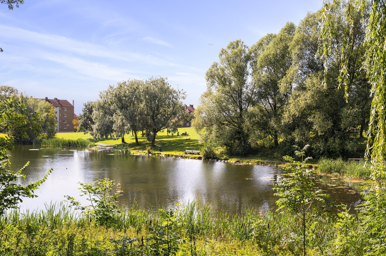 Fra Teisen er det bilfri gang - og sykkelvei over grøntarealene på Valle Hovin, helt til Tøyen. Hovindammen, også kalt andedammen er en hyggelig attraksjon for både store og små. Galleribilde