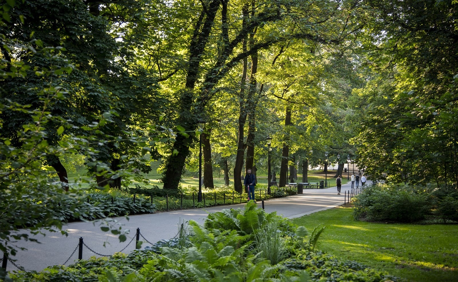 Fra leiligheten er det en nydelig turvei gjennom Slottsparken i retning Bogstadveien og St. Hanshaugen. Galleribilde