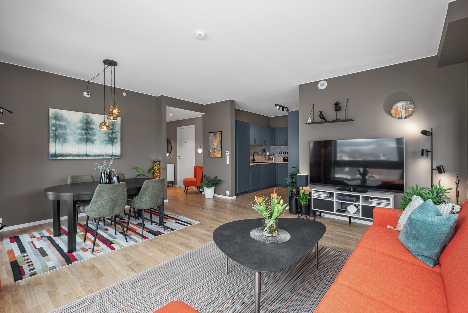 TV og internett er inkludert i fellesutgiftene. Galleribilde