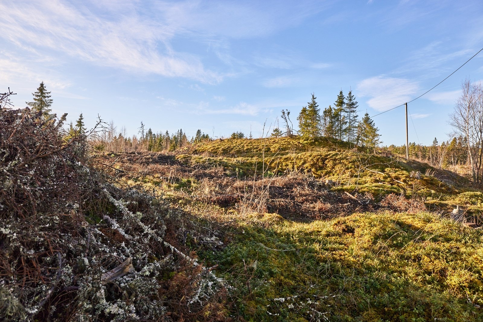 Du har også tilgang til et bredt kulturtilbud med gallerier og flere spisesteder. Galleribilde