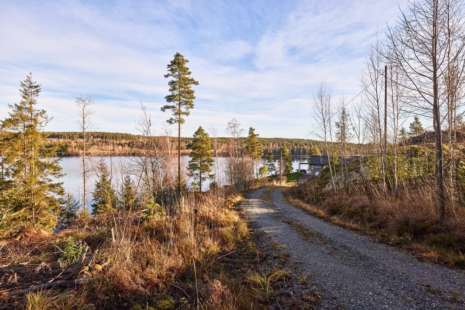 Vei, vann og kloakk vil bli lagt frem til tomtegrensen. Galleribilde