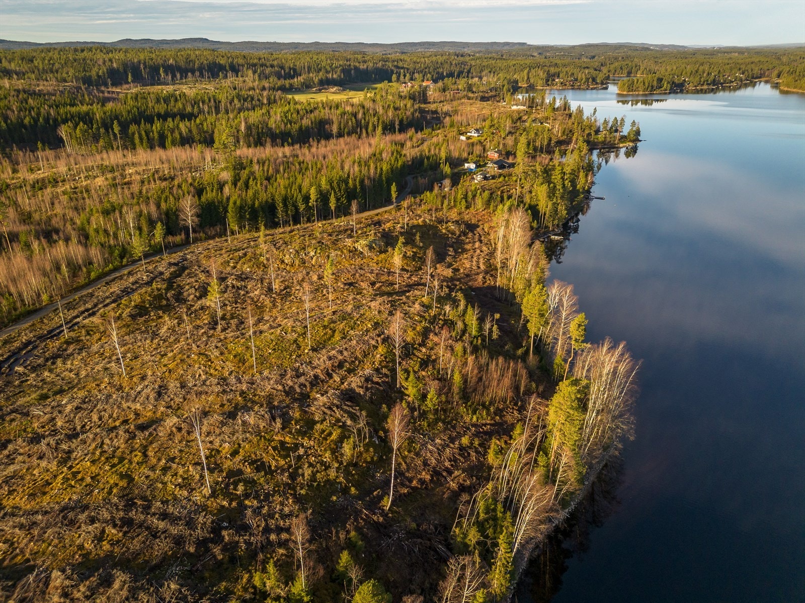 Stora Le har et svært varierende fiske, med hele 26 registrerte fiskearter. Galleribilde