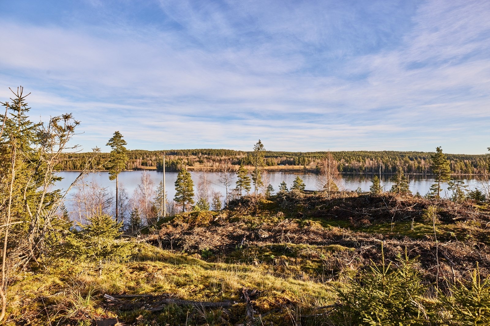 Du har også tilgang til et bredt kulturtilbud med gallerier og flere spisesteder. Galleribilde