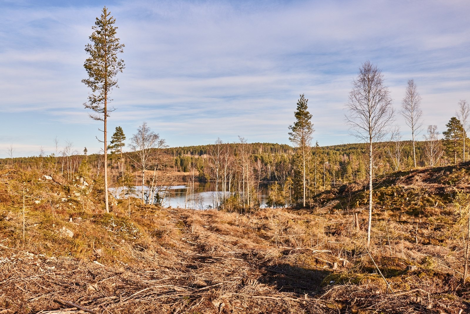 I tillegg er det kun 20 minutters kjøretur til Sverige, som gir ekstra shopping- og reisemuligheter. Galleribilde