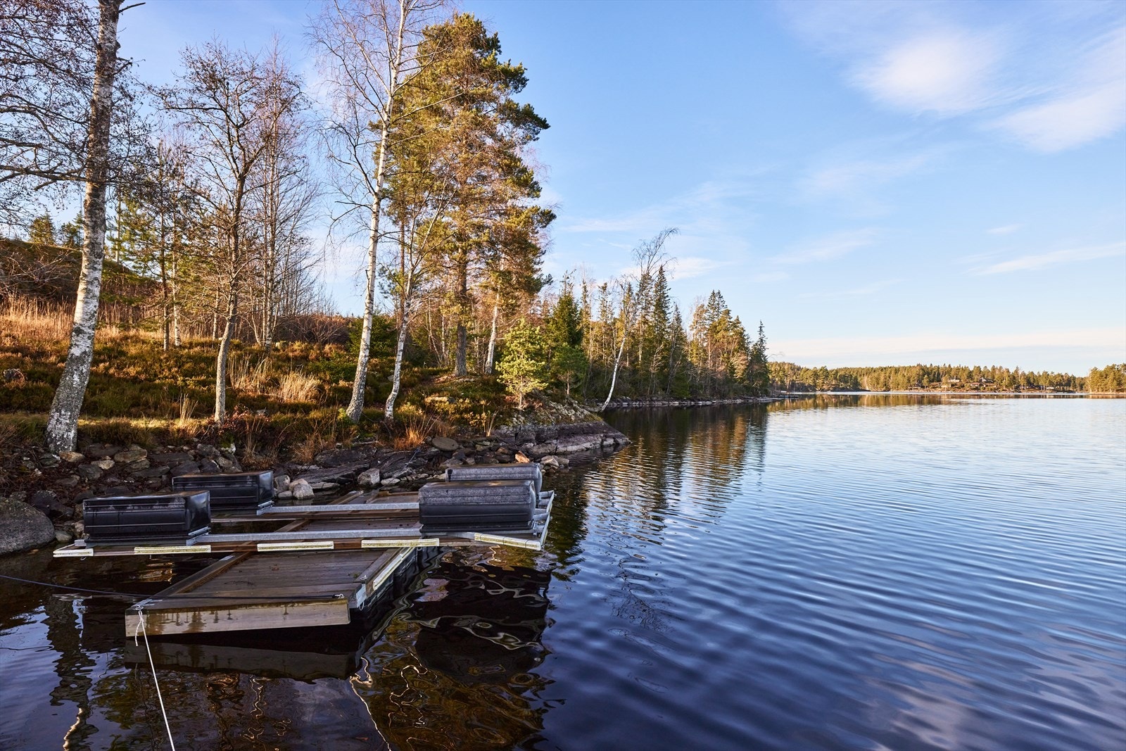 Store Le har et svært varierende fiske, med hele 26 registrerte fiskearter. Galleribilde