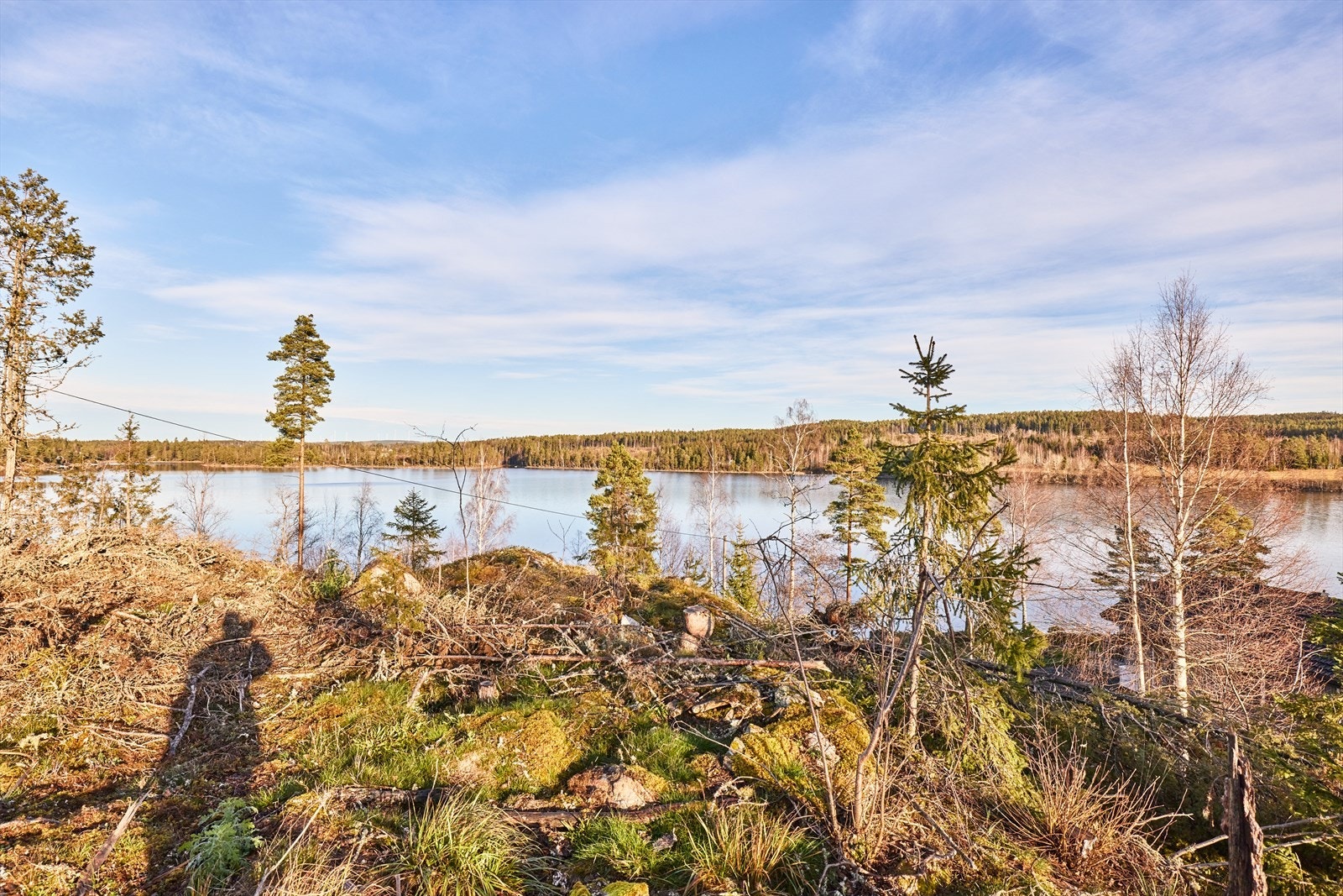 Stora Lee Innsjølag tilbyr fiskekort for hele den norske delen av innsjøen. Galleribilde
